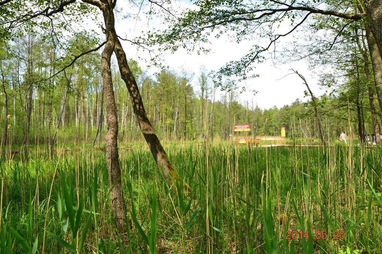 Комплексы для отдыха с коттеджами/бунгало Ośrodek Wypoczynkowo-Turystyczny Perła Krutyni Новы-Мост-28